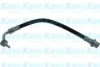 KAVO PARTS BBH-9168 Brake Hose